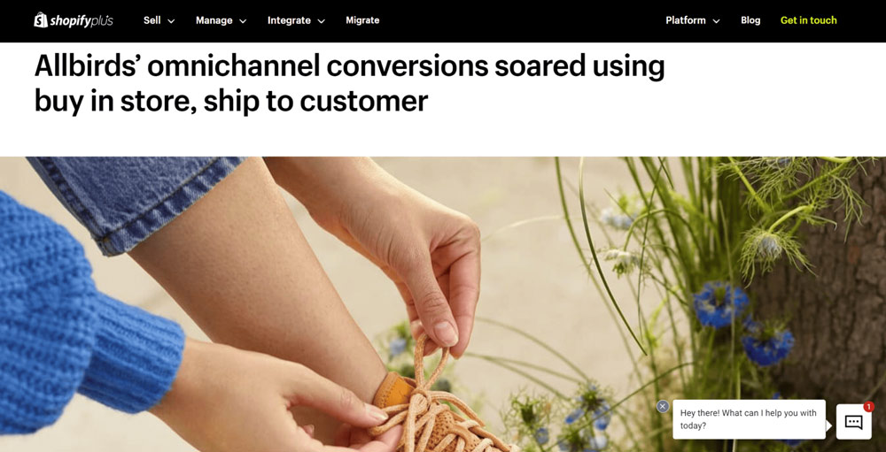Allbirds ecommerce website with Shopify