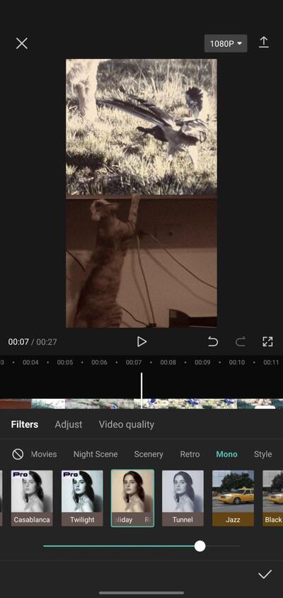 Capcut Video Editor