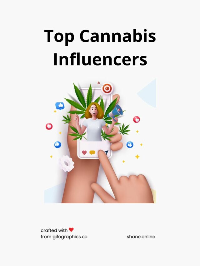 top cannabis influencers story
