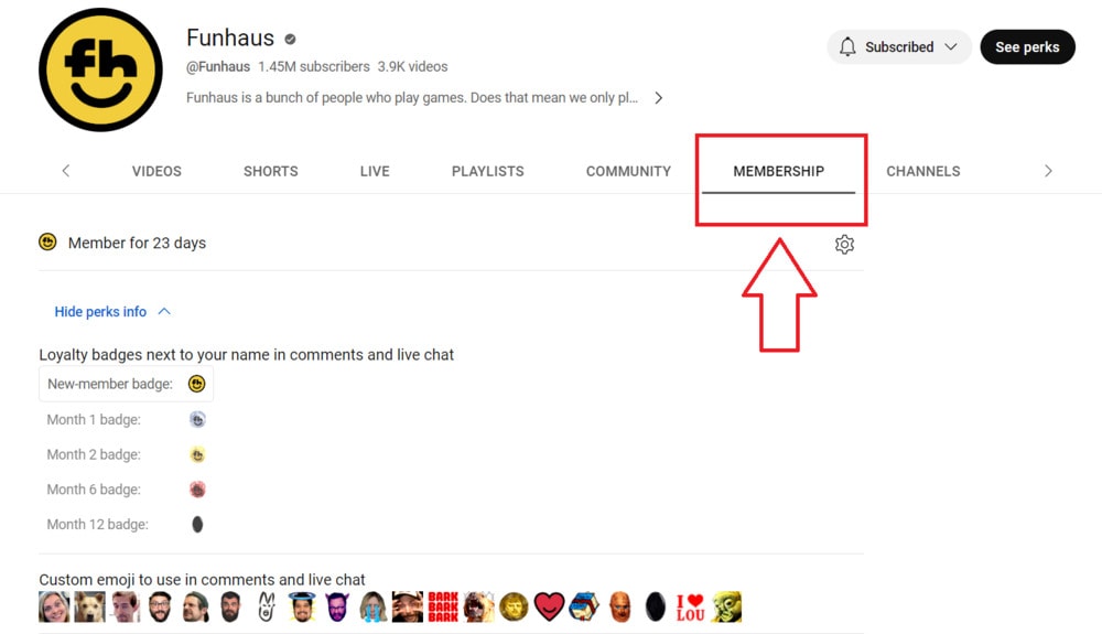 Earn from youtube memberships