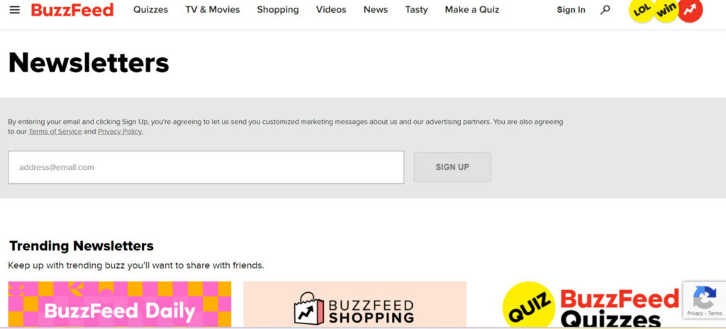 Example of a newsletter, a type of email marketing