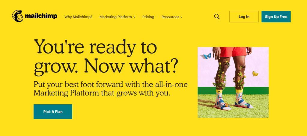 MailChimp-Email-Marketing-Automation