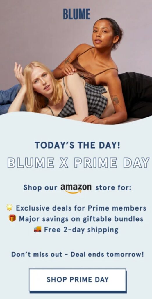 prime day email campaign example