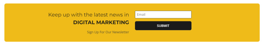Shane's newsletter sign-up form