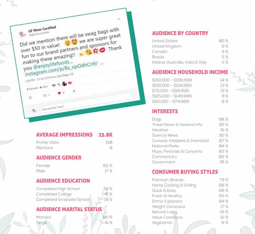 Tiffany Hinton Influencer media kit - detailed audience demographics
