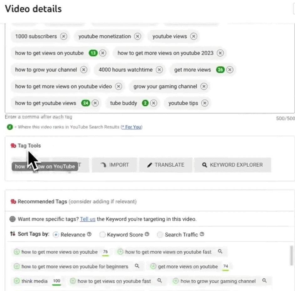 TubeBuddy Video details settings