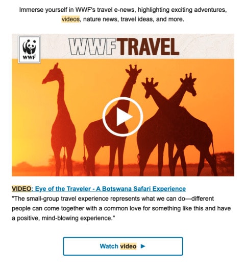 Video Email Marketing - Add Play Button to Image