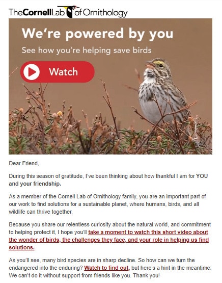 Video Email Marketing Example - Thank You Emails