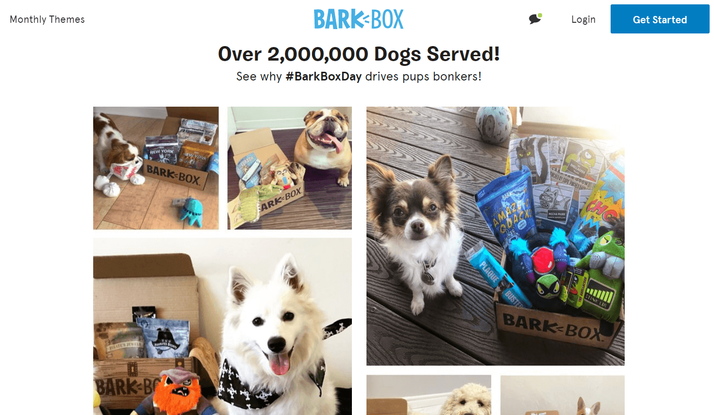 BarkBox Ecommerce Content Marketing Examples