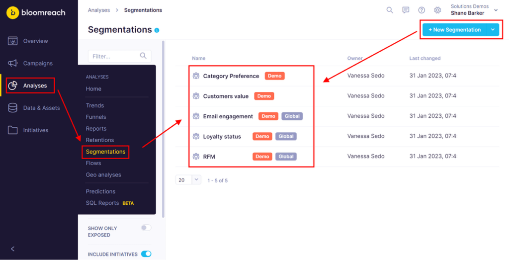 Bloomreach audience segmentation