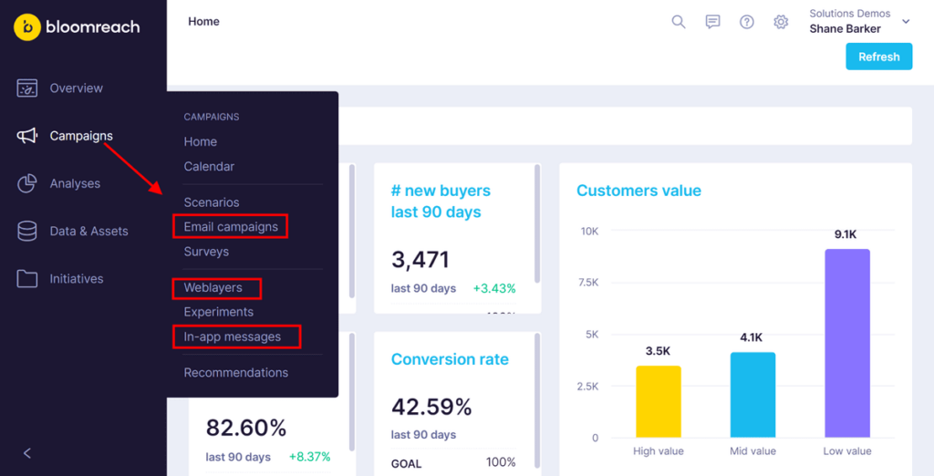 Bloomreach campaigns