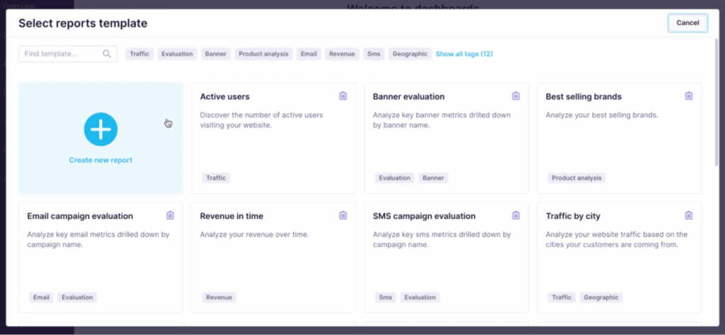 Bloomreach different report templates
