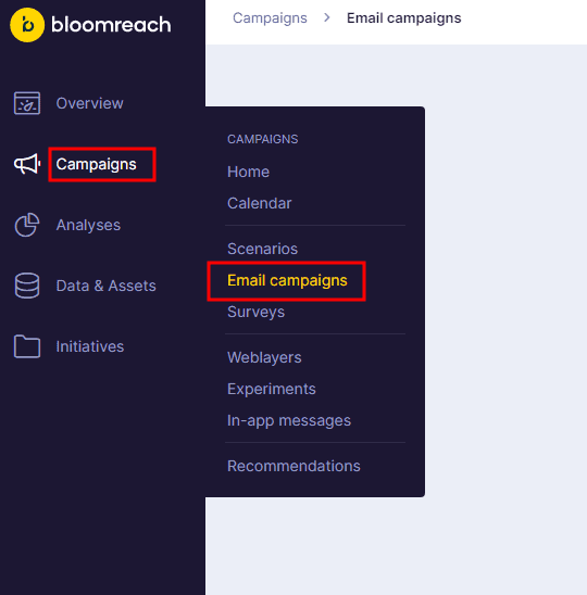 Bloomreach email campaigns