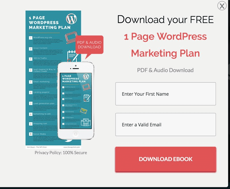 Email Marketing Ebook Lead Magnet Example 