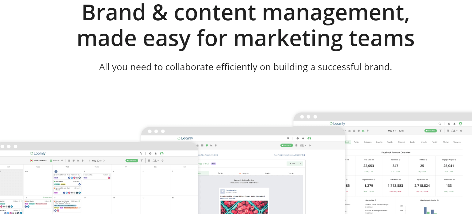Loomly Content Curation Tools