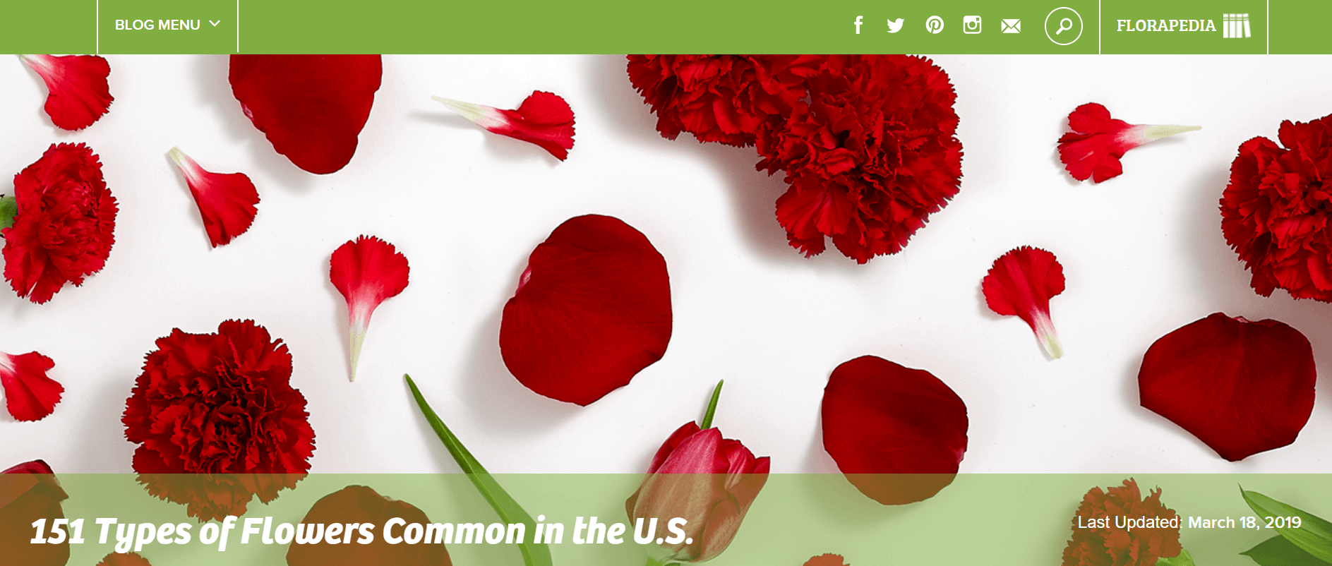 ProFlowers Ecommerce Content Marketing Examples