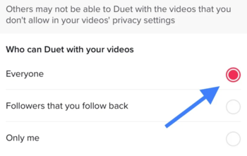 who can duet with your videos on tiktok