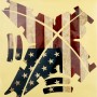 DJI Phantom的贴纸（Retro US Flag图案）