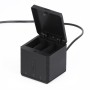 RUIGPRO USB Triple Batteries Housing Charger Box with Cable & Indicator Light for GoPro HERO9 Black / HERO10 Black(Black)
