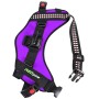 Neopine Dog Hämt Hound Harness Justerbar bröstbandremmontering för GoPro Hero10 Black /Hero9 Black /Hero8 Black /Hero7 /6/5/5 Session /4 Session /4/3+ /3/2/1 (Purple)