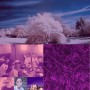 andestar 3合1分58毫米镜头滤镜（CPL + UV + FLD / Purple）用于GoPro＆Xiaomi Xiaoyi yi运动摄像机