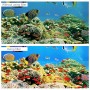 Filtr čtvercového potápěčského objektivu pro Insta360 One R 4K Edition / 1 palcová dise (růžová)