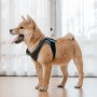 Soporte de soporte de correa para mascotas de comodidad aprobado por PET original para Insta360 Go 2 (negro)